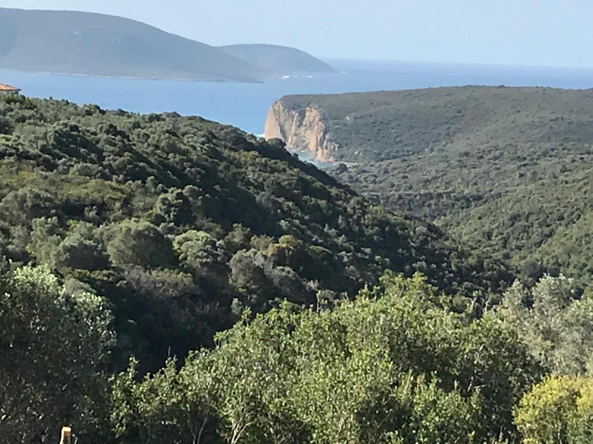 Luxurious Villa In Peloponnese With Swimming Pool Kamária Zewnętrze zdjęcie
